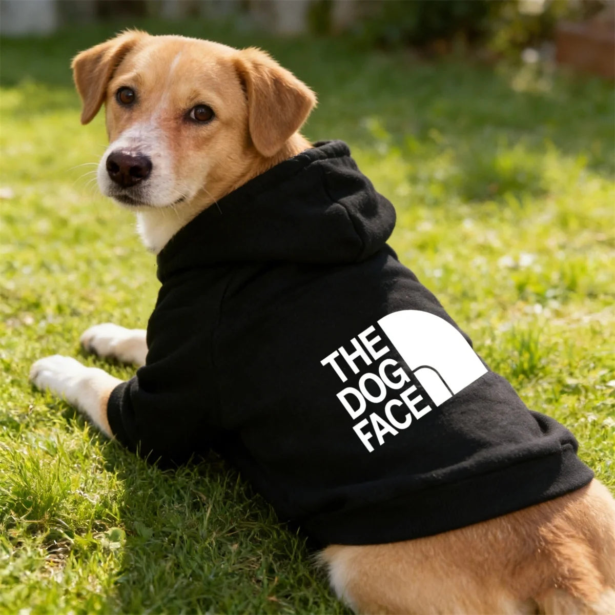 Cozy Pup Hoodie – Warm Dog Sweatshirt Jacket