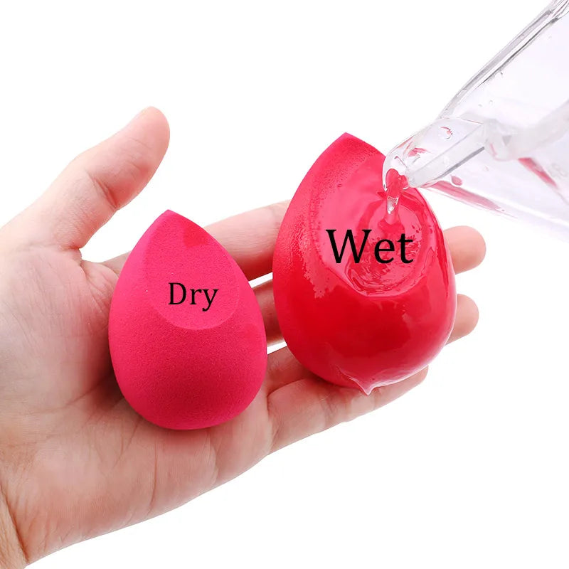 Makeup Sponge & Concealer Blender Set – 20, 5 & 1 Pack Options
