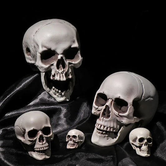 Plastic Human Skull Head Halloween Prop – Hanging Skeleton Decor in Multiple Sizes