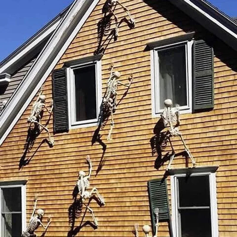 40cm Poseable Human Skeleton – Haunted House Horror Prop & Halloween Party Decoration (1 or 2 Pack, Ages 14+)