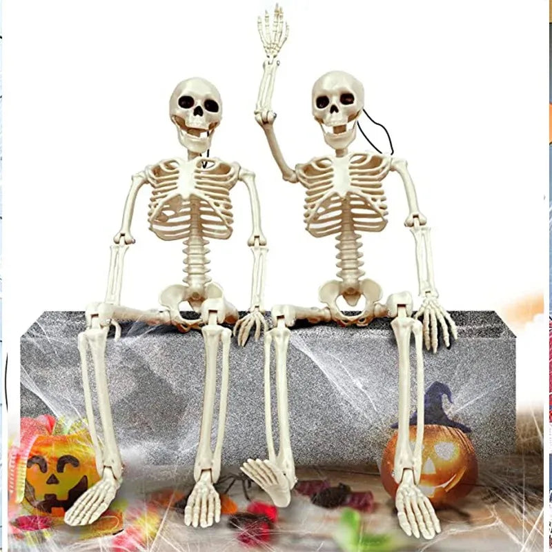 40cm Poseable Human Skeleton – Haunted House Horror Prop & Halloween Party Decoration (1 or 2 Pack, Ages 14+)