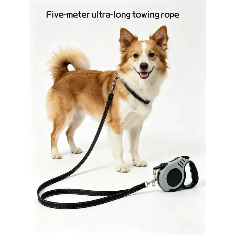 Automatic Retractable Pet Leash, Durable Anti?Tangle Walking Strap, Portable Outdoor Dog Cat Walking Rope