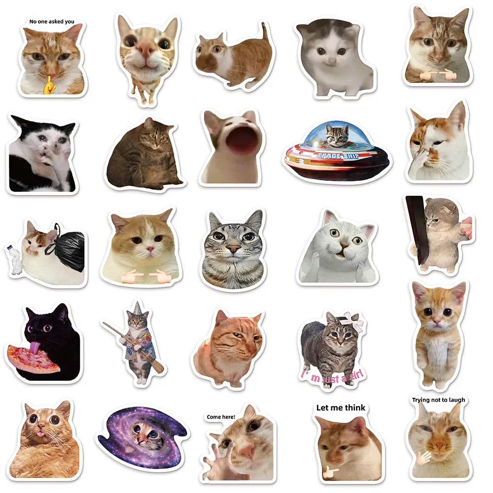 Funny Cat Meme Graffiti Stickers – 50 or 100pcs DIY Decals for Water Bottles, Skateboards & Toys