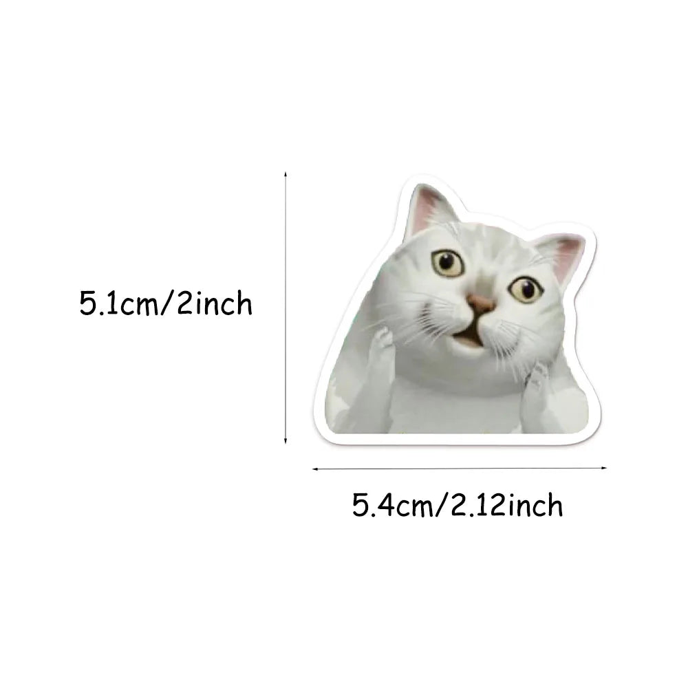 Funny Cat Meme Graffiti Stickers – 50 or 100pcs DIY Decals for Water Bottles, Skateboards & Toys