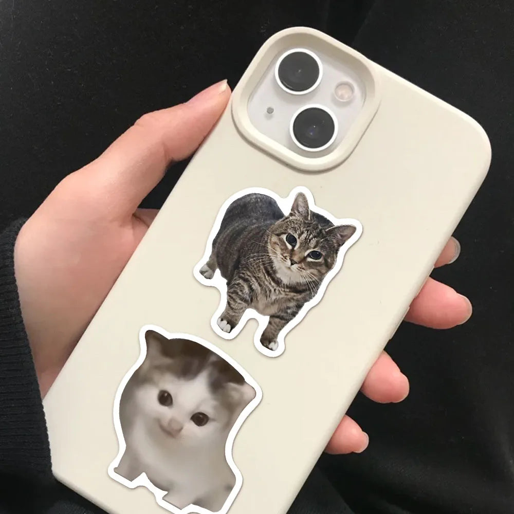 Funny Cat Meme Graffiti Stickers – 50 or 100pcs DIY Decals for Water Bottles, Skateboards & Toys
