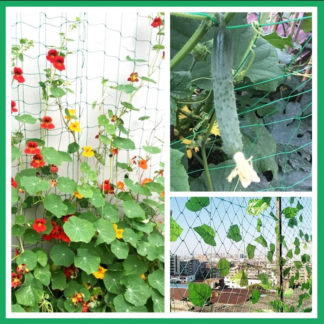 Plant Trellis Pergolas, Heavy-Duty Polyester Grow Net, Garden Trellis Netting With Square Mesh For Climbing Plants, Vegetable