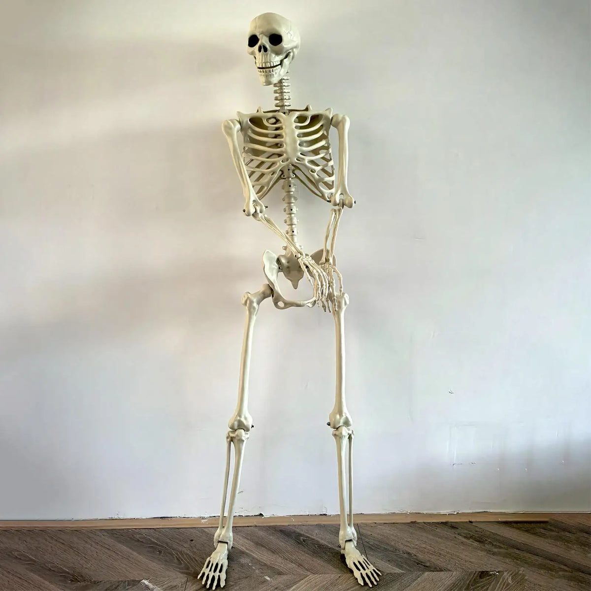 Life-Size Posable Halloween Skeleton Prop – 90cm ABS Skull Decoration for Haunted House, Yard & Outdoor Scenes