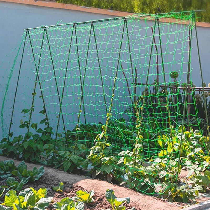 Plant Trellis Pergolas, Heavy-Duty Polyester Grow Net, Garden Trellis Netting With Square Mesh For Climbing Plants, Vegetable