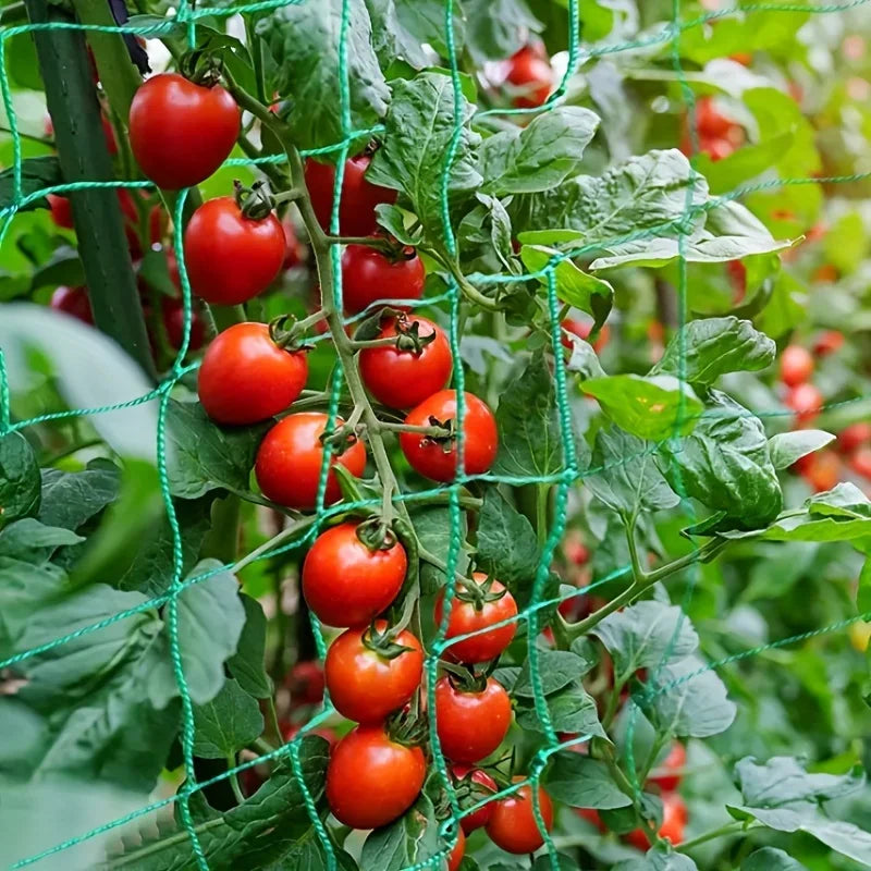 Plant Trellis Pergolas, Heavy-Duty Polyester Grow Net, Garden Trellis Netting With Square Mesh For Climbing Plants, Vegetable