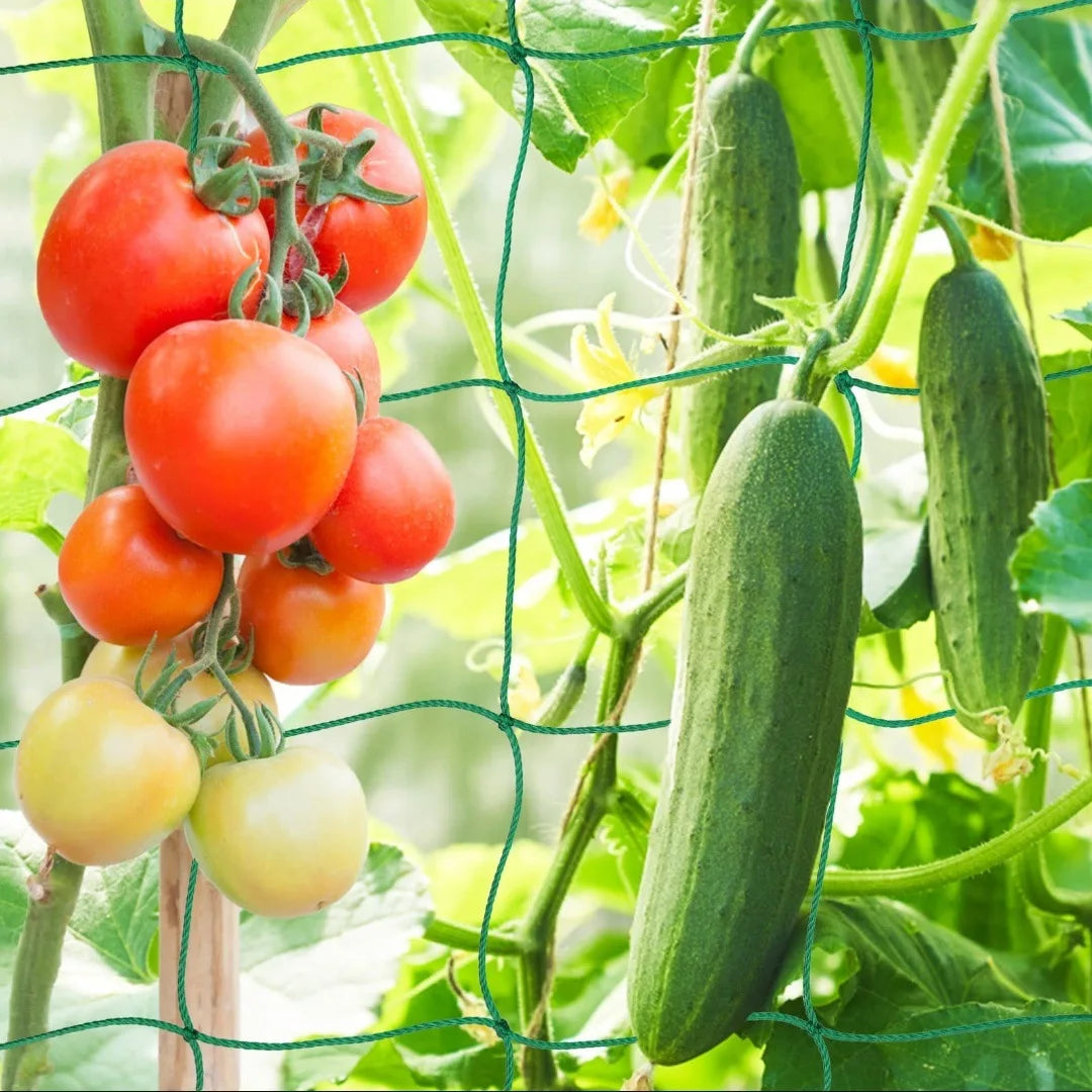 Plant Trellis Pergolas, Heavy-Duty Polyester Grow Net, Garden Trellis Netting With Square Mesh For Climbing Plants, Vegetable
