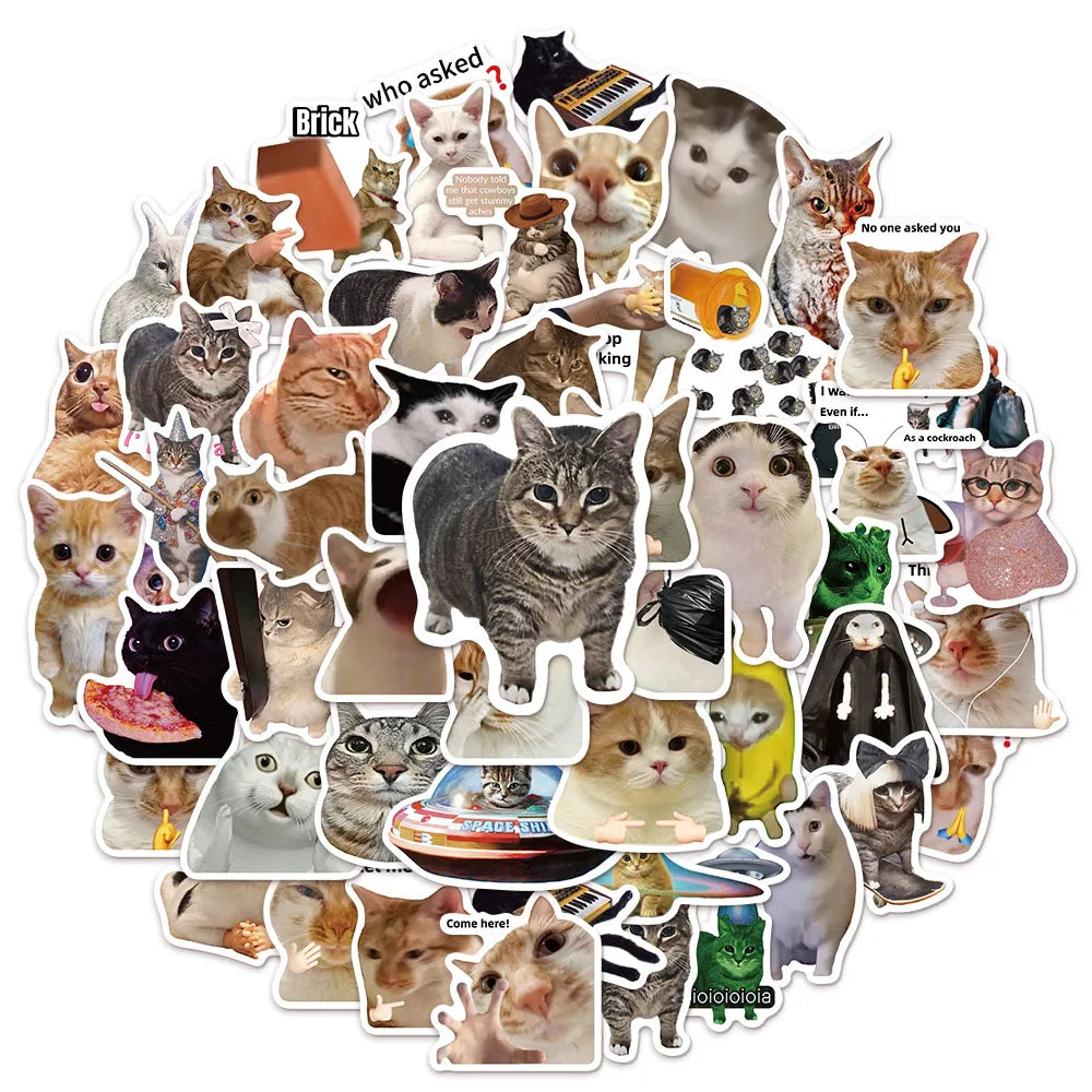 Funny Cat Meme Graffiti Stickers – 50 or 100pcs DIY Decals for Water Bottles, Skateboards & Toys