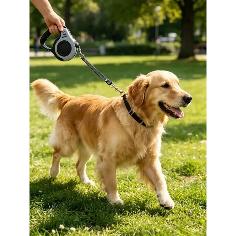 Automatic Retractable Pet Leash, Durable Anti?Tangle Walking Strap, Portable Outdoor Dog Cat Walking Rope