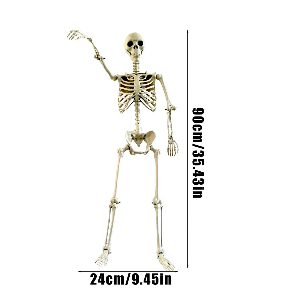Life-Size Posable Halloween Skeleton Prop – 90cm ABS Skull Decoration for Haunted House, Yard & Outdoor Scenes