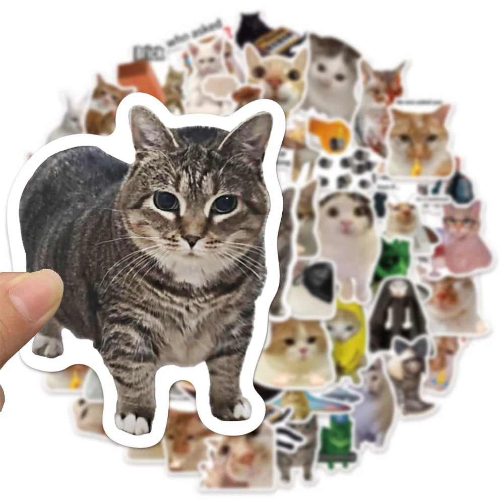 Funny Cat Meme Graffiti Stickers – 50 or 100pcs DIY Decals for Water Bottles, Skateboards & Toys