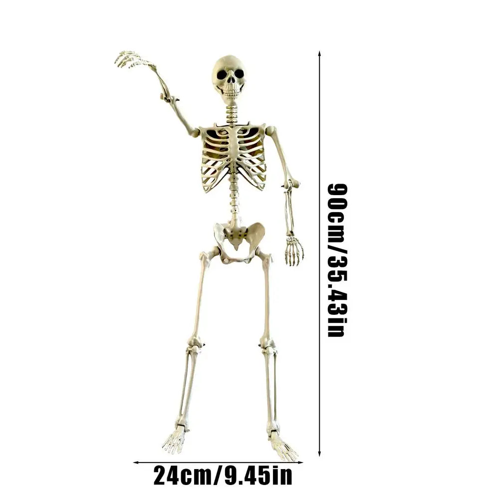 Life-Size Posable Halloween Skeleton Prop – 90cm ABS Skull Decoration for Haunted House, Yard & Outdoor Scenes