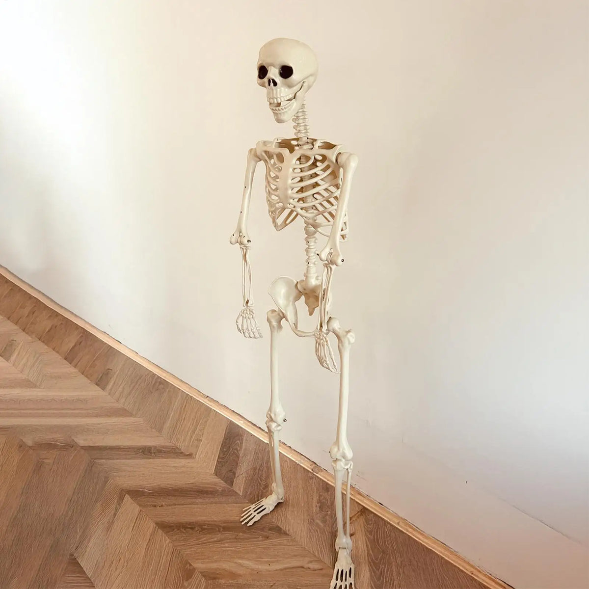 Life-Size Posable Halloween Skeleton Prop – 90cm ABS Skull Decoration for Haunted House, Yard & Outdoor Scenes