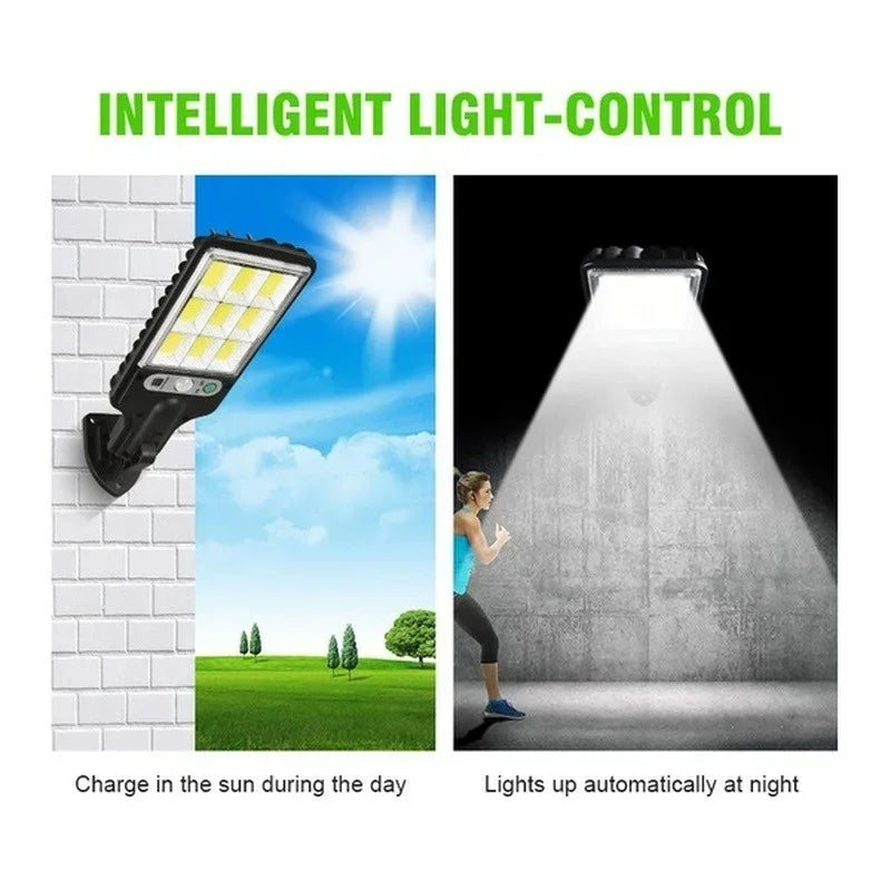 Solar Motion Sensor Garden Lights